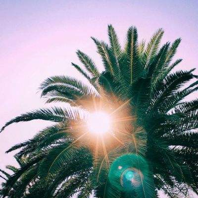 宝鸡市房地产网截图